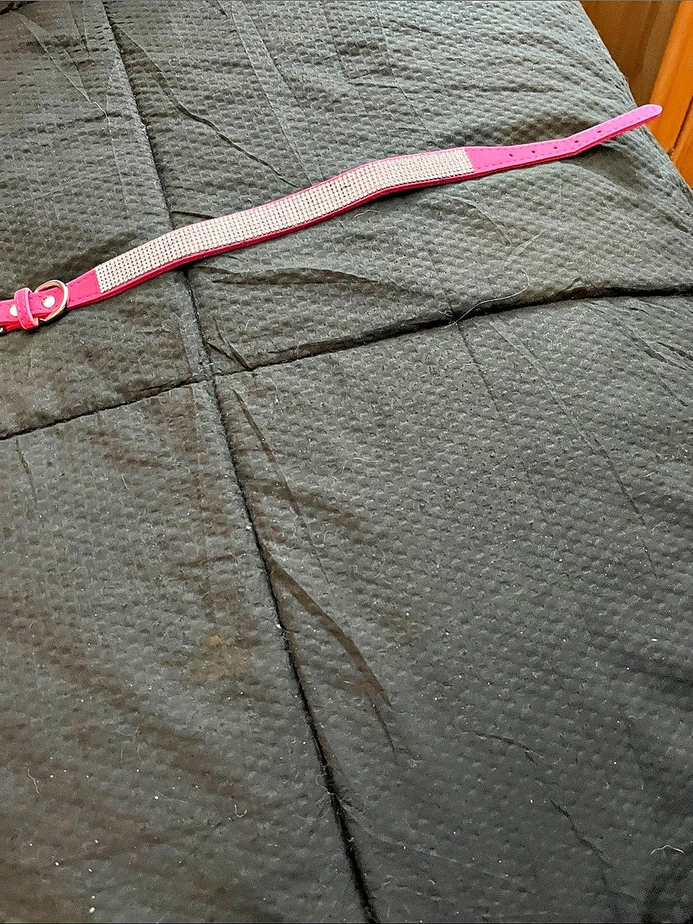 Rhinestone Pink Dog Collar